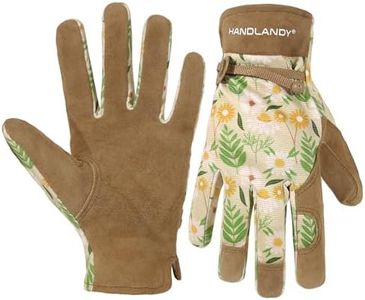 HANDLANDY 