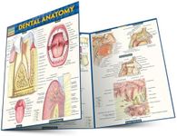 Dental Anatomy QuickStudy Laminated Study Guide (QuickStudy Academic)