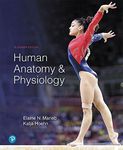 Human Anatomy & Physiology Plus Mastering A&P with Pearson eText -- Access Card Package
