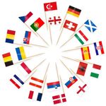 AhfuLife 100pcs 24 Nations Countries Toothpick Flags Cake Toppers, 24 European Cocktail Stick Flags for Sandwich Cupcake Toppers Eurovision Football Party Supplies Pub Royal Event Decor