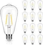 winsaLED 12 Pack 2w LED Edison Bulb