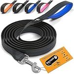 Active Pets Dog Leash (1 in. x 4 ft, Blue)