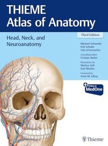 Head, Neck