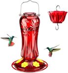 Kingsyard Glass Hummingbird Feeders