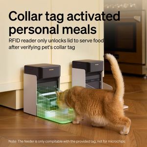 PETLIBRO RFID Automatic Cat Feeder – App Control, Collar Activated, 3L