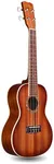 Cordoba 15CM-E Acoustic-Electric Co