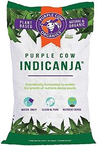 Purple Cow