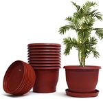 Livzing Plastic Flower Pot with Bottom Tray Set - 12 Inch, Pack of 10 (Brown), Garden Planters with Drain Holes for Home Plants,Plastic Pots for Indoor and Outdoor Gardening with Drip Tray