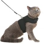 Cat Holsters