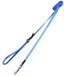 Rogz Utility Fixed Lead Nitelife, Small, Blue