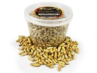 Chubby Peanuts in Shells (800 g), Monkey Nuts For Wild Life & Squirrels, All Natural Premium Peanuts Wild Life Food, Peanuts in Shells for Squirrels