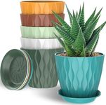 6 Pack 7 Inch Indoor Plant Pots wit