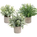 Homcomoda Artificial Potted Plants Faux Eucalyptus Greenery in Pots Decorative Plant for Tabletop Décoration (3 Pack)