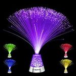 Playlearn Fiber Optic Lamp Color Ch
