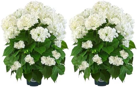 QIANYUN Artificial Hydrangea Tree 29" Tall (Set of 2), Faux White Hydrangea Plant in Pot, Realistic Artificial Plant for Indoor Outdoor Porch, Patio, Balcony Decor