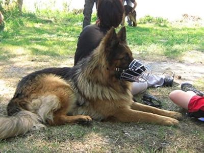 STRONG Wire Metal muzzle Basket Dog German Shepherd, Labrador & other