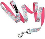 Parisian Pet Girly Dog Leash - 4ft Long, Spring Blossoms Durable Nylon Dog Training Leash - Traction Rope for Small/Medium Dogs