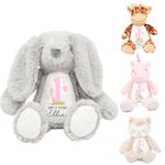 Personalised Teddy Bear | Choose an Animal | Personalised Bunny | Personalised Children’s Present, Teddy For Baby Boy, Teddy for Baby Girl | Personalised Children’s Gift (Pink 1st Birthday)