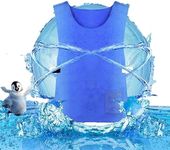 Cooling Ice Vest for Men Women,Adjustable Cold Vest Fabric Sport Cool Vest for Avoid Hot Weather Heatstroke Cooler Vest for Teens,Men and Women,Fishing,Cycling,Running,Cooking,Gardening,Motorcycle,