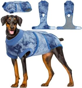 Kuoser Dog