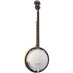 Washburn Americana Series B7-A 5-String Open Back Banjo Great for Folk, Bluegrass, Country Music, Clawhammer Style, Dixieland Jazz and Caribbean Genres Like Biguine, Calypso, Mento and More