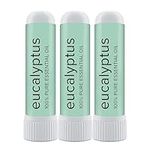 MOXĒ Eucalyptus Essential Oil Nasal Inhaler, Sinus & Congestion Relief, Daily Relaxation, Stress Relief, Therapeutic No-Mess Aromatherapy, Pure and Natural, Made in USA (3 Pack)