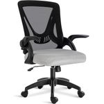 Blisswood Office Desk Chair, Ergonomic Mesh Chair With 90° Flip-up Armrest Swivel Computer Chair With Lumbar Support, Adjustable Height, Back Support 360° Rotation Gaming Chair For Home Office