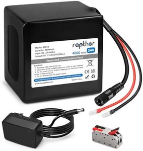 rapthor 24V 4000mAh Lithium Ion Battery Pack with Charger, Rechargeable 24V Replacement Battery with Built-in BMS Protection for DIY Projects, LED Lights