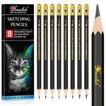 Drawing Pencils Set of 8-12B 10B 5B 3B 2B HB H 6H Sketching Pencils for Artists Beginners, Kids & Adults - Premium Wood Art Pencils Sketching Set for Shading, Doodling & Drawing