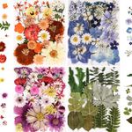 nisetten 110+PCS Pressed Flowers fo