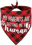 My Parents are Getting me a Human D