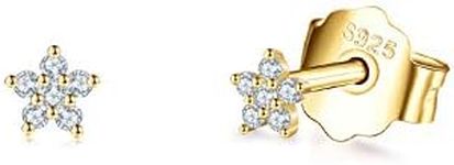 14K Gold Plated Stud Earrings for W