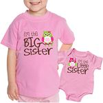 Nursery Decals and More, Matching Sister Outfits Girl and Baby, Sibling Shirts,, Owl Big Sister / Owl Little Sister, Big Sibling 3 Years/Little Sibling (6-12 Months)