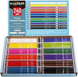 KALOUR Lápices de colores premium, 12 colores vivos diferentes, un total de 240 bolígrafos, lápices de colores preafilados para adultos libros para colorear.