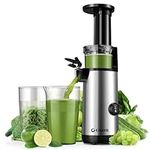 Compact GDOR Cold Press Juicer with