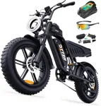 DTTZH F6 1500W Adult Electric Bike,