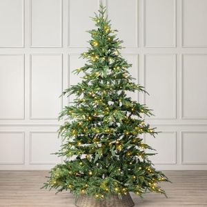 Christow Pre-Lit Christmas Tree 8ft with Dual-Colour LED Lights (Switch from Warm White to Multi-Coloured), Nordmann Fir, Realistic PE & PVC Tips, 11 Modes with Colour Changing, Timer, 145cm Diameter