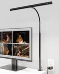 SUPERDANNY Desk Lamp for Home Offic