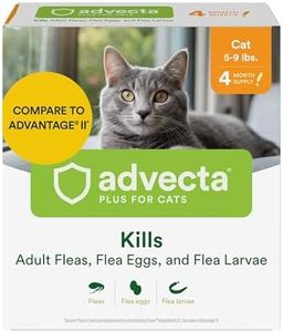 Advecta Pl