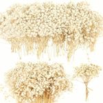 90+Pcs Mini Dried Babys Breath Flowers, 4700+ Natural Ivory White Baby Breath Flower Bulk, Real Dried Flowers for Crafts, Wedding Decor, Boho Invitation, DIY, Hair Accessory, Resin Candle Making