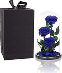 Preserved Roses Handmade Preserved 