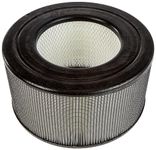 Honeywell CP170-HEP HEPA Replacement Filter for HA170E1 True HEPA Air Purifier