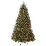 National Tree 7.5 Foot Dunhill Blue Fir Tree with 750 Clear Lights, Hinged (DUBH-75LO)