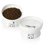 SWEEJAR Tilted Raised Cat Food and Water Bowl Set, Stress Free Elevated Cat Food Bowls, Protect Cat's Spine, Ceramic Pet Bowl Collection for Cats and Small Dogs, Set of 2 (White)