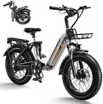 figoo S2 Fat Tire Electric Bike - 20" x 4.0 Wide Tires, 750W Motor, Dual Shock Absorbers, 28MPH, 35-80 Mile Range - Ideal for Adult Commuting and Urban Riding，Silver…