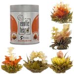 The Exotic Teapot – Flowering Tea Sampler Tin, 5 Varieties Blooming Tea, Jasmine Tea Flowers