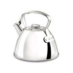 All-Clad E86199 Stainless Steel Tea Kettle, Silver