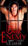 Dark Enemy Taken (The Children Of The Gods Paranormal Romance Series Book 4)