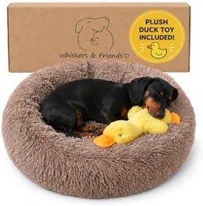 Whiskers & Friends Small Dog Bed Washable, Fluffy Orthopedic Dog Bed Small, Puppy Calming Beds, Large Cat Beds for Indoor Cats - Perfect for Pets Under 25 Pounds - Camel