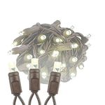 Novelty Lights 50 Light LED Christmas Mini Light Set, Outdoor Lighting Party Patio String Lights, Warm White, Brown Wire, 25 Feet